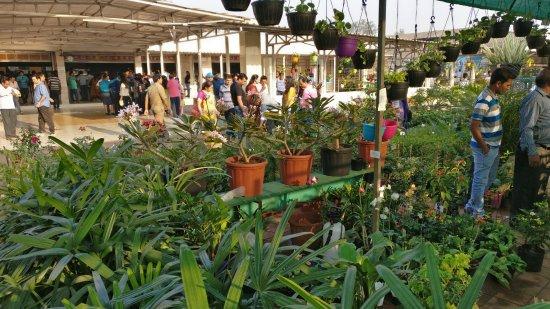 Bhajanlal Dairy Farm